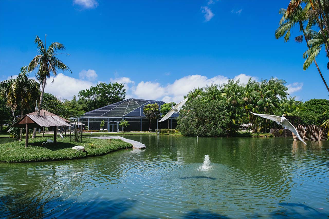 Serene waterfront living at Riverstone featuring white herons flying over a lush lake near a modern community center.